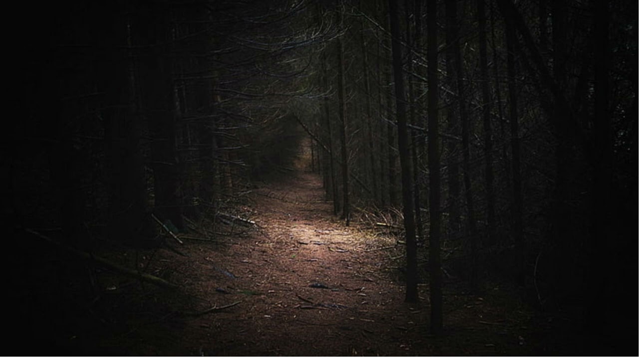 Ludovico Einaudi - Low mist var 2 (Slowed + reverb + rain)