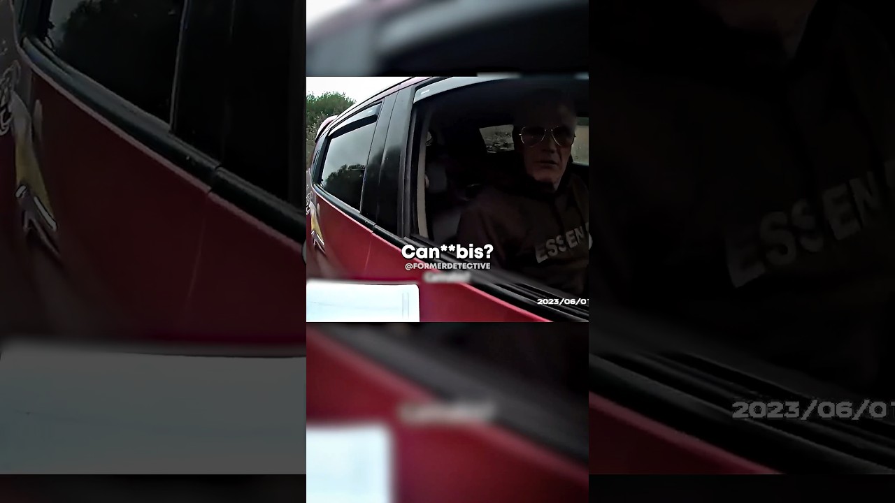Traffic Stop Takes Unexpected Turn!😱