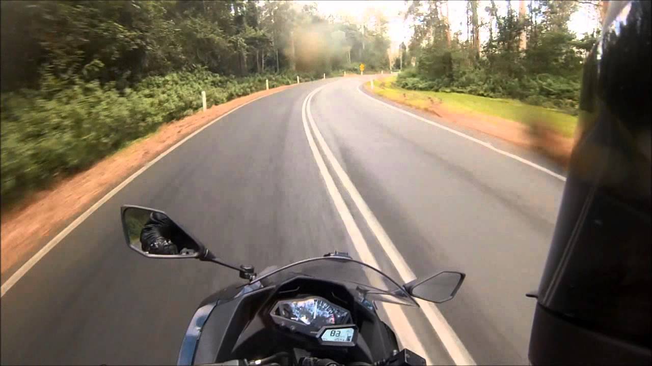 Ninja 300 twisties - This is LIVING