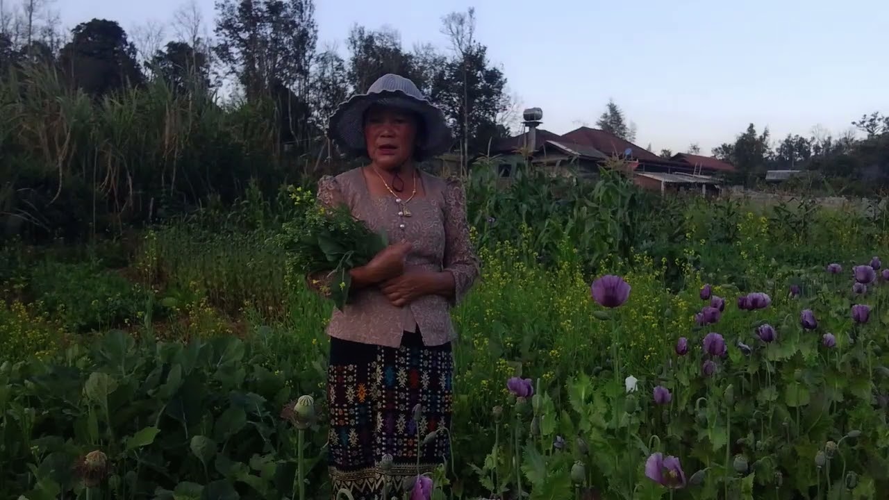 30 มกราคม ค.ศ. 2026