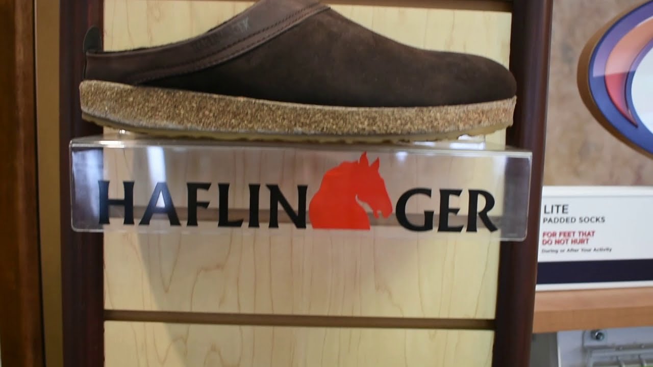 Haflinger - Bodell's Introductions