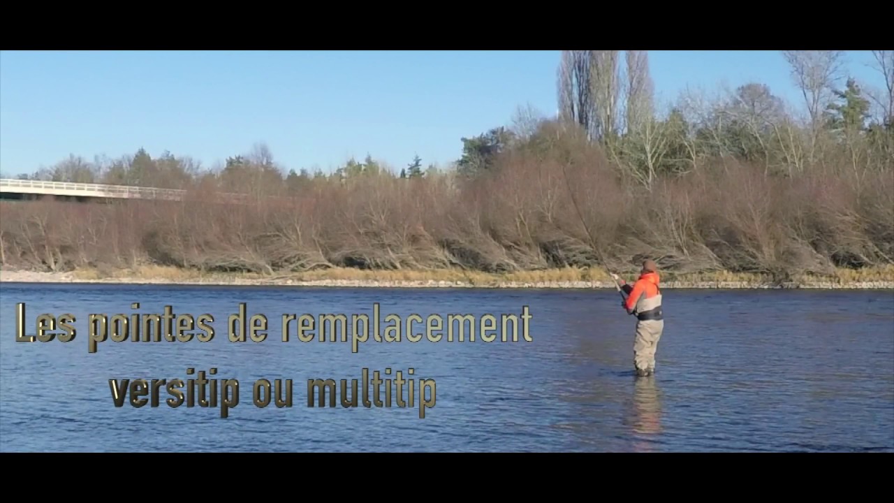 les pointes de remplacement Versitip ou Multitip