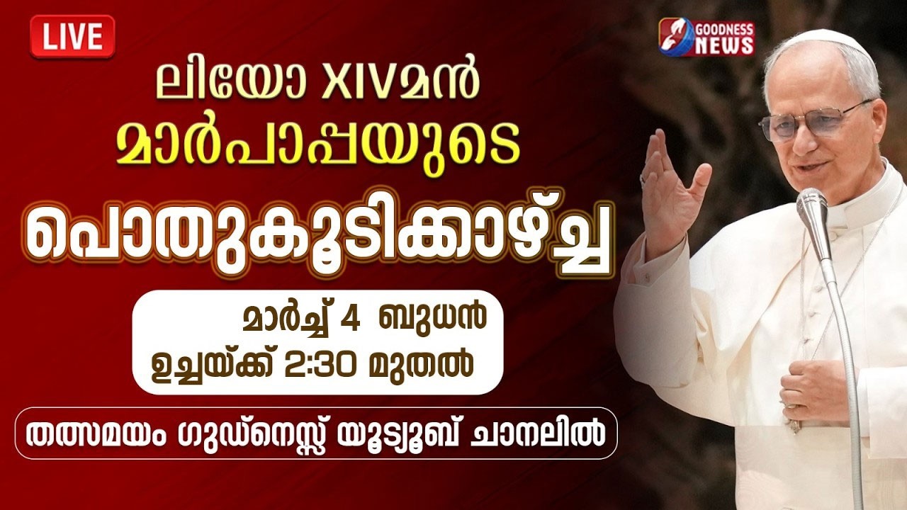 ലിയോ XIV മൻ മാർപാപ്പയുടെ പൊതുകൂടിക്കാഴ്ച്ച | POPE LEO XIV | VATICAN | GENERAL AUDIENCE |GOODNESS TV