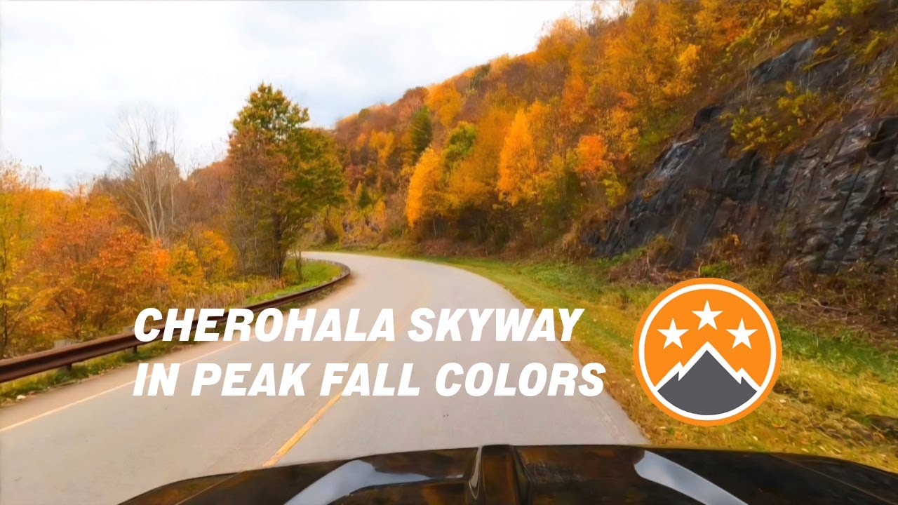 Peaceful Drive on the Cherohala Skyway | Relaxing Autumn Colors & Scenic Views 🍁