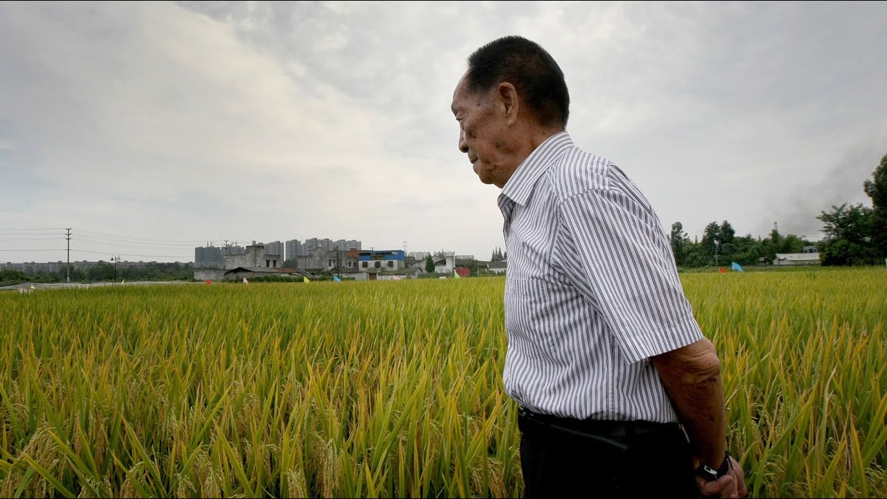 Yuan Longping's hybrid rice improves livelihoods in Madagascar