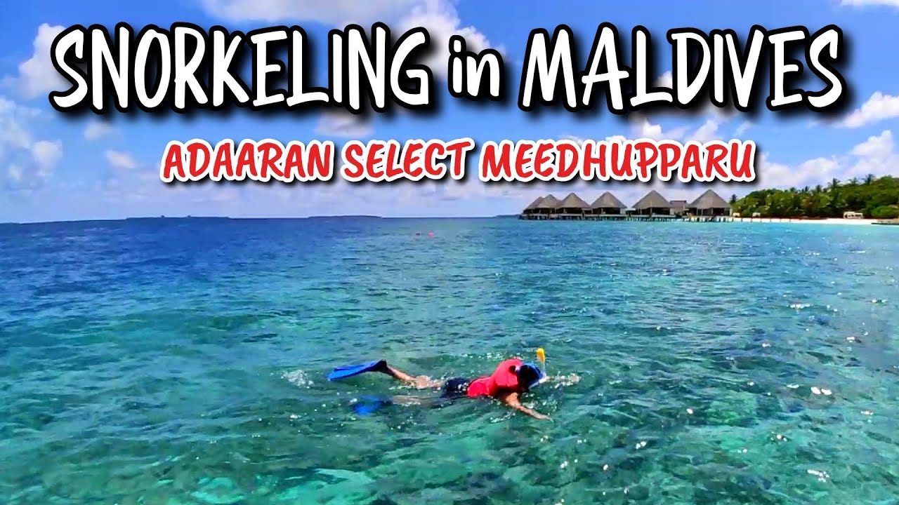 Adaaran Select Meedhupparu Maldives - The BEST Snorkeling Place on Earth - TravelTECH Special