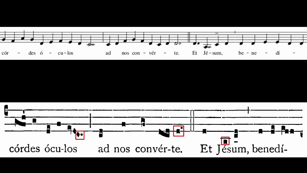 Salve Regina (Solemn Tone) with drone notes