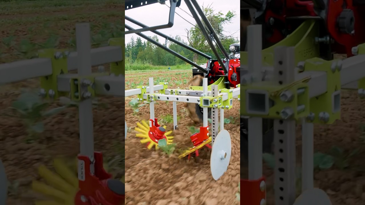 BEST In-Row Weed Control - Finger Weeders&nbsp;#farmequipment #marketgarden #cultivation