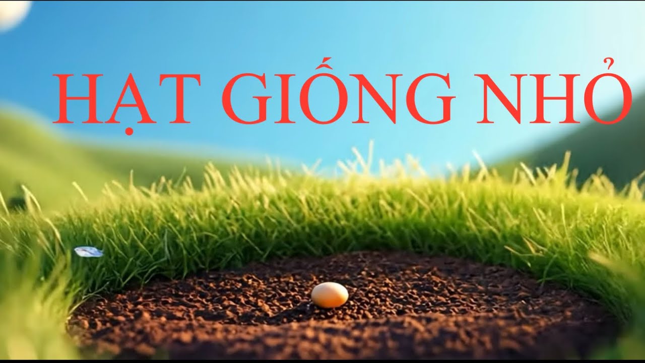 HẠT GIỐNG NHỎ/LỚP 2/ KẾT NỐI TRI THỨC