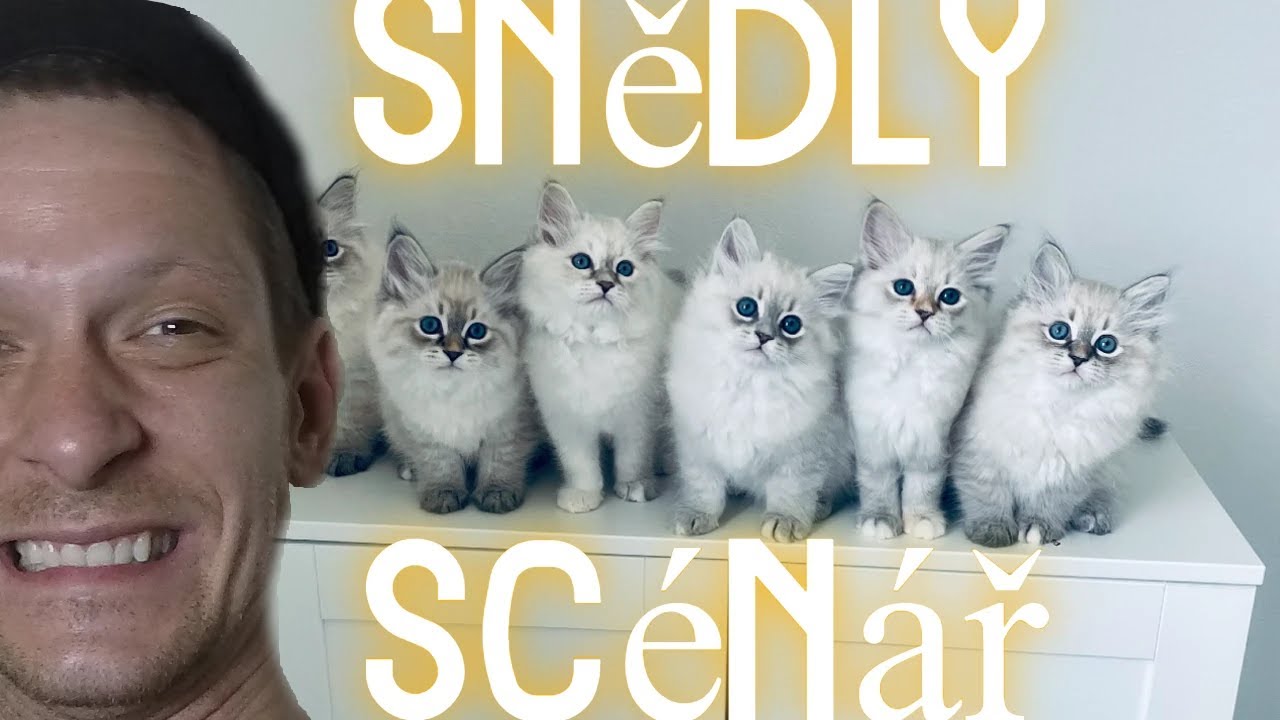 Kočičí modelky | Znáte plemeno Něvské Maškarády? |  1.Díl Schejby na výletě konečné venku.