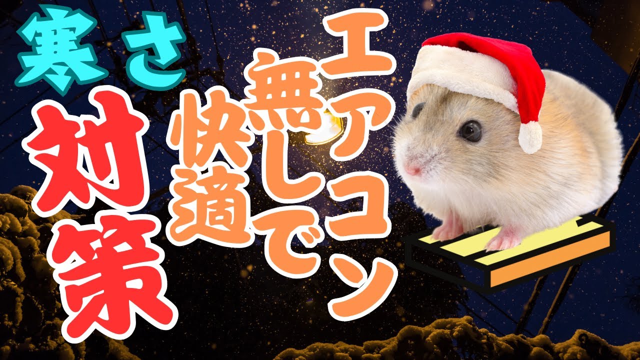 エアコン無しで快適！寒さ対策