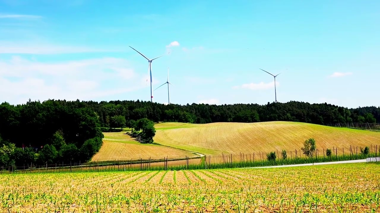 Romantic View of Golden Fields & Wind Turbines
