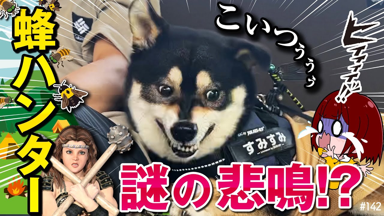 【謎の悲鳴にパニック】蜂やアブをキャンプ場で食べる柴犬