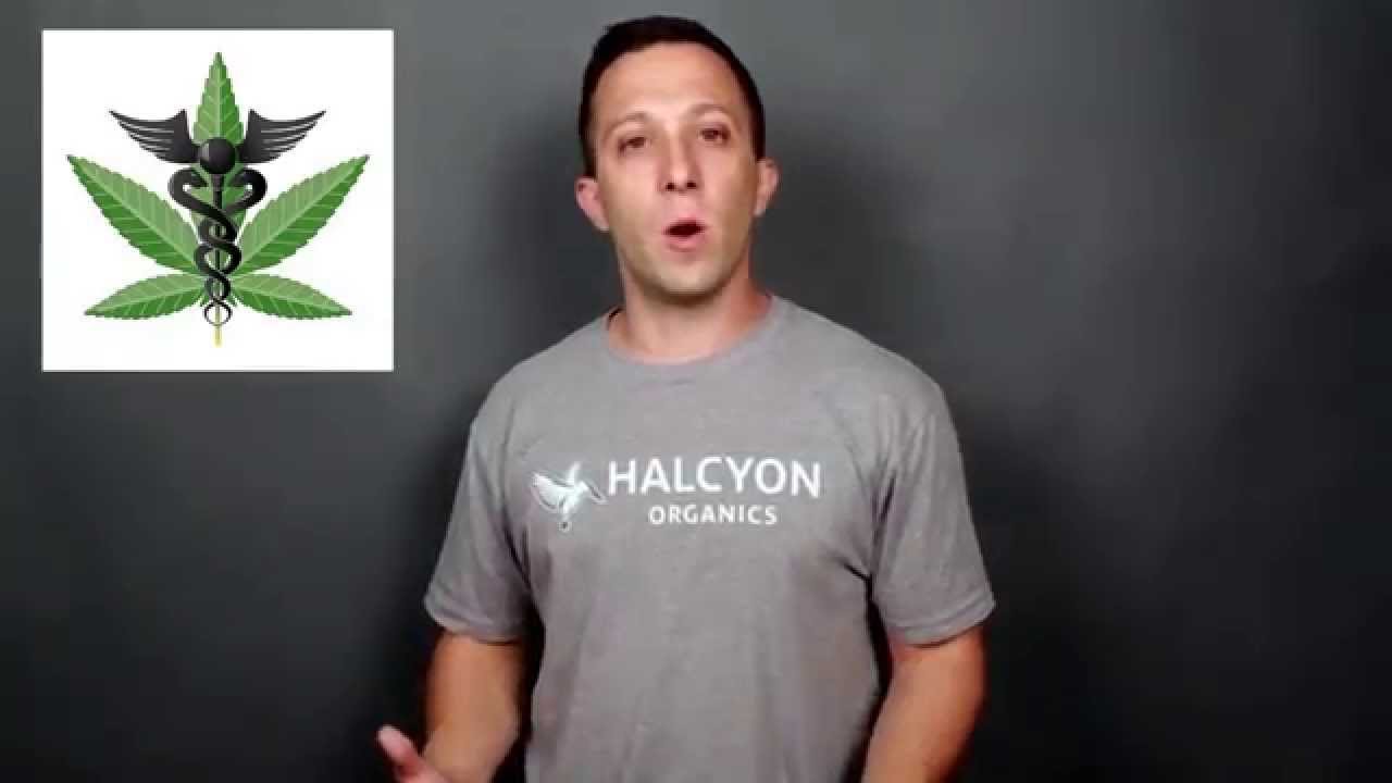 Cannabis Regulation:  Social and Economic Benefits