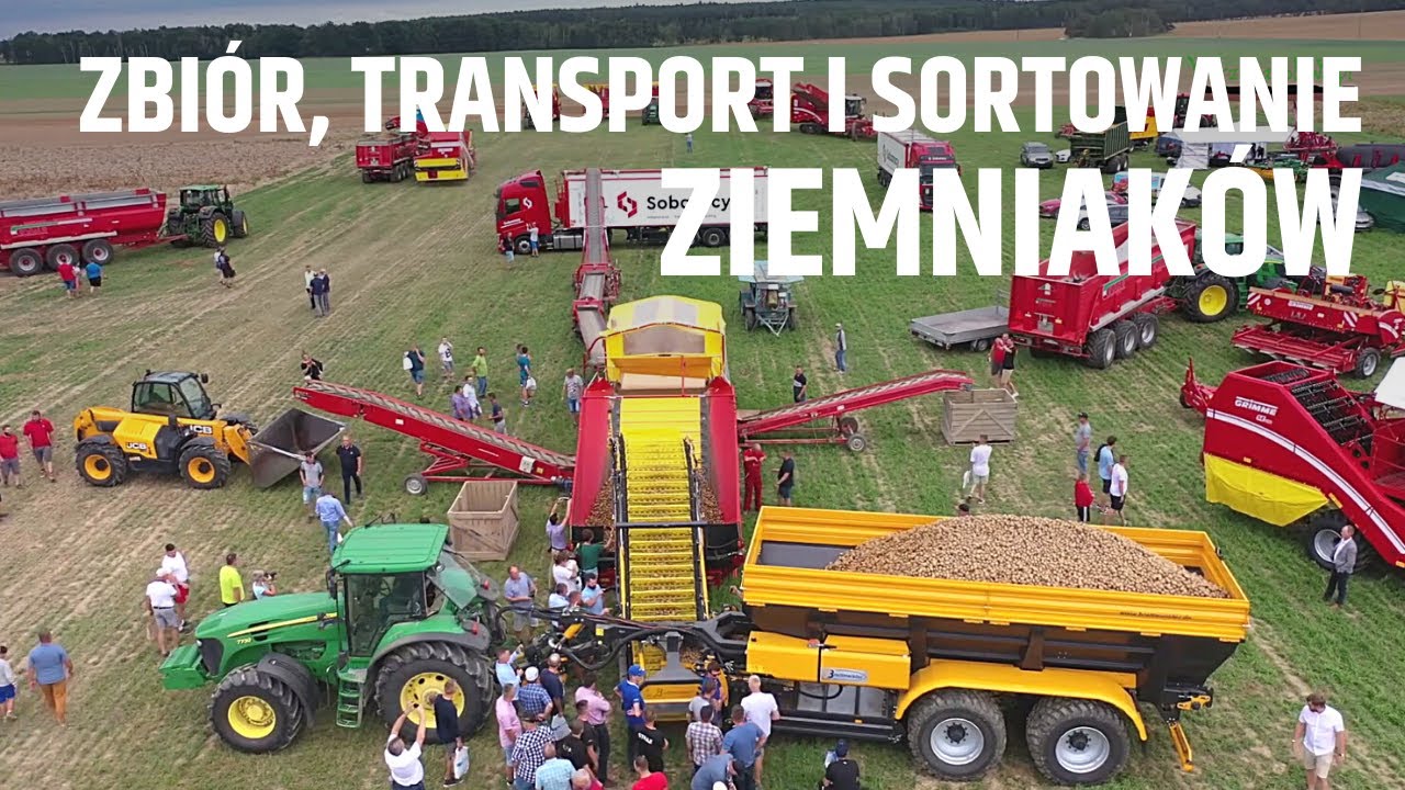 Zbiór, transport i sortowanie ziemniaków