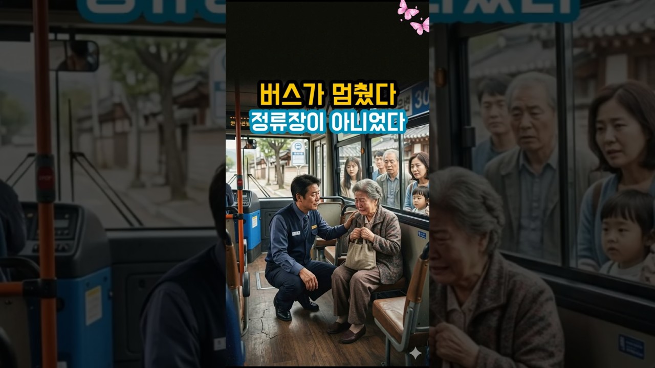 버스 기사가 멈춘 이유를 아무도 몰랐다.  시니어 감동 이야기, 인생 이야기, 부모님 이야기, 감동 실화, 담은 가족 감동 사연입니다.#시니어감동 #인생이야기 #감동실화
