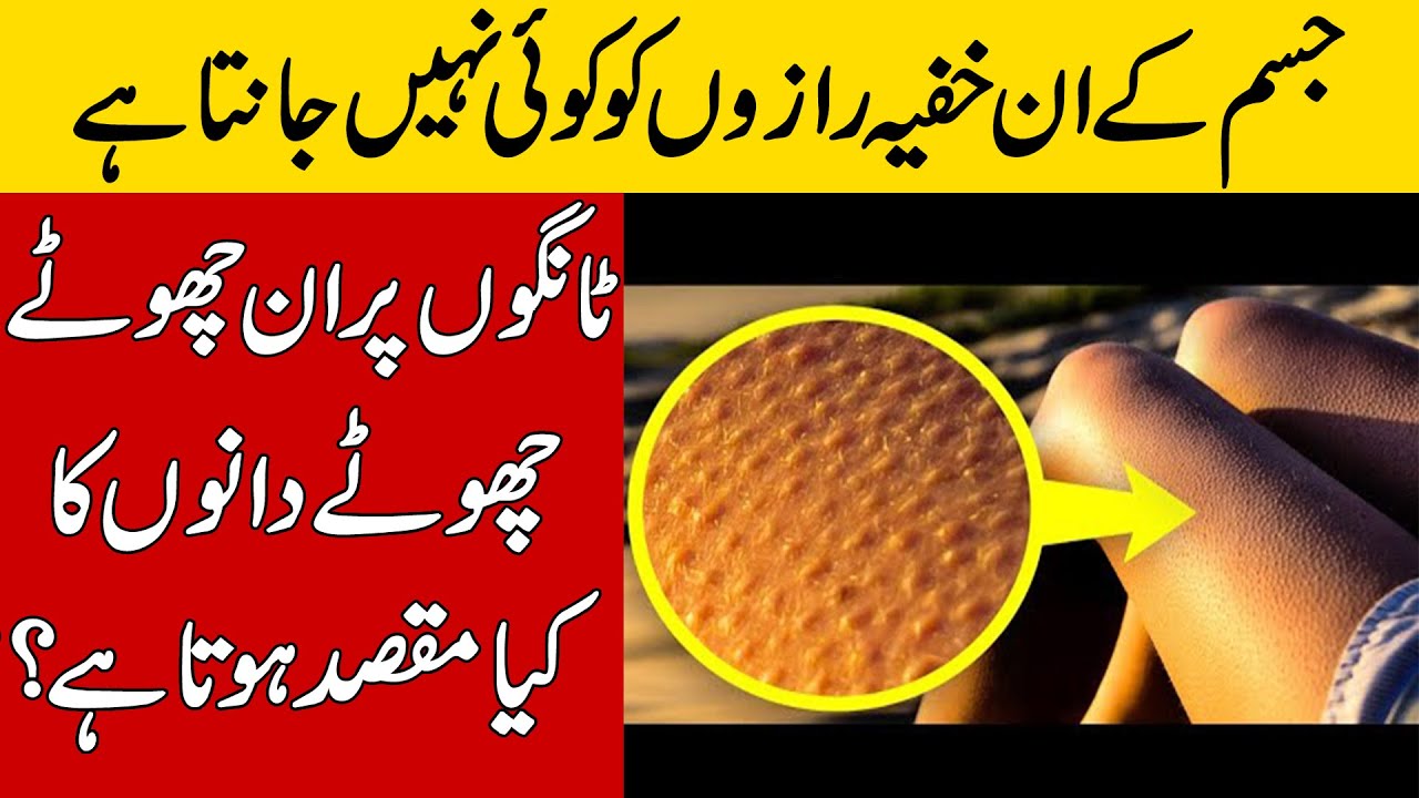 No One Knows These Secrets Of The Human Body | BRAIN FACTS