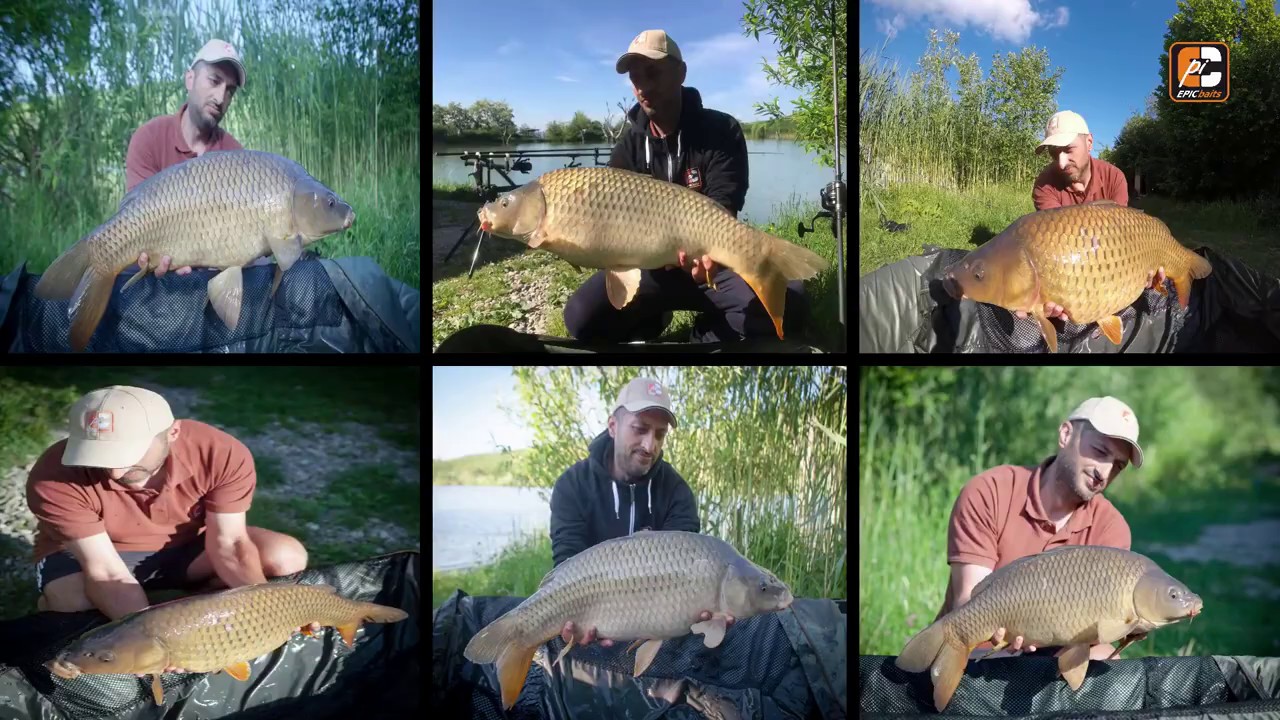 Pescuit la crap - Balta Valea Morii - Brasov (boilies si pasta frankfurter)