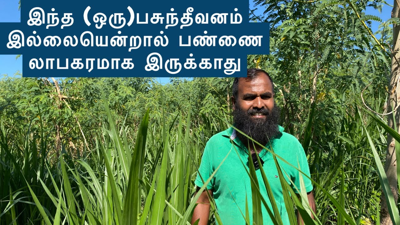 15. இந்த ஒரு பசுந்தீவனம் பண்ணைக்கு அவசியம்