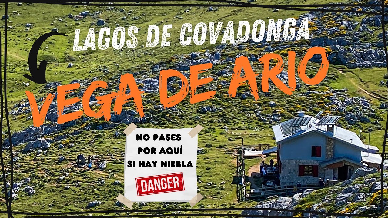 RUTA MODERADA 🟨 | LAGOS DE COVADONGA - REFUGIO VEGA DE ARIO (CIRCULAR) 🏞 | ALISEA CON NIEBLA ❌☠