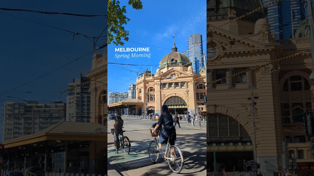 Spring Morning Walk in MELBOURNE 