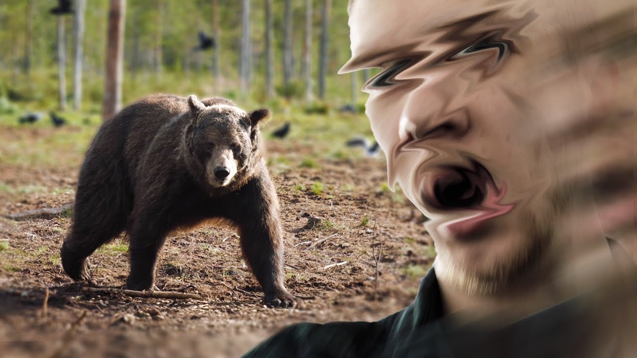 Näin karhuja.