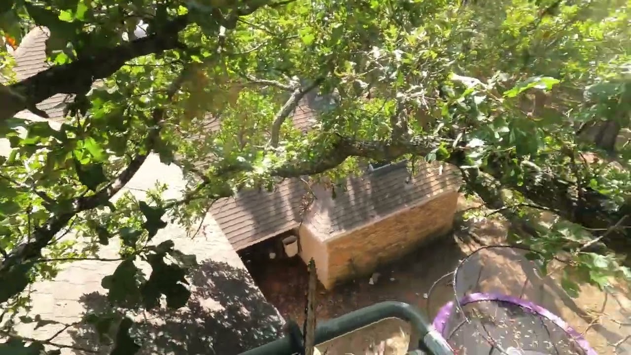 Nifty Lift Tree Limb Removal Over a House 