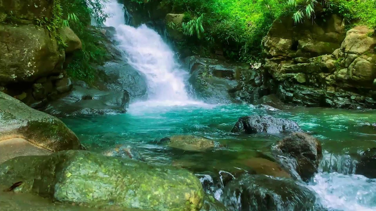 ТЫ УСНЕШЬ РАНЬШЕ, ЧЕМ ПОЙМЁШЬ 🌊 Гипнотическая река в глубине джунглей