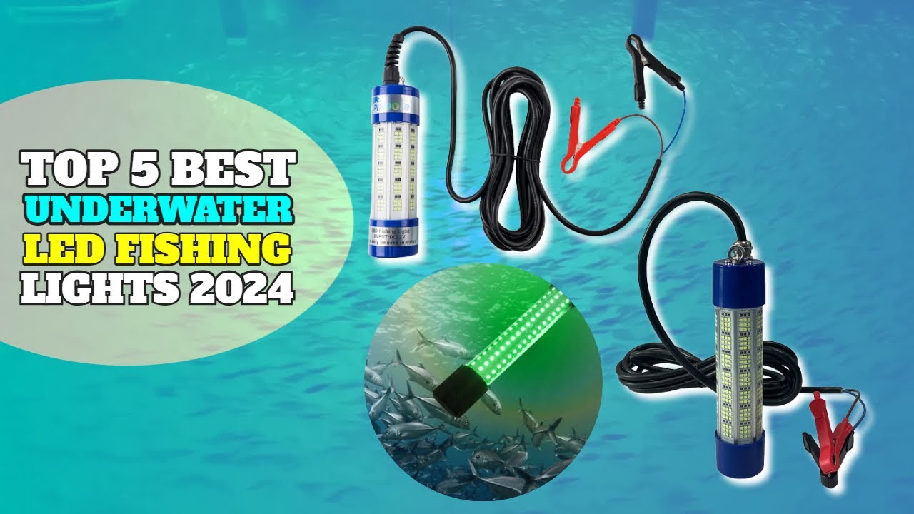 Best Underwater Fishing Lights For 2025 | Top 5 Underwater Led Fishing Light Review