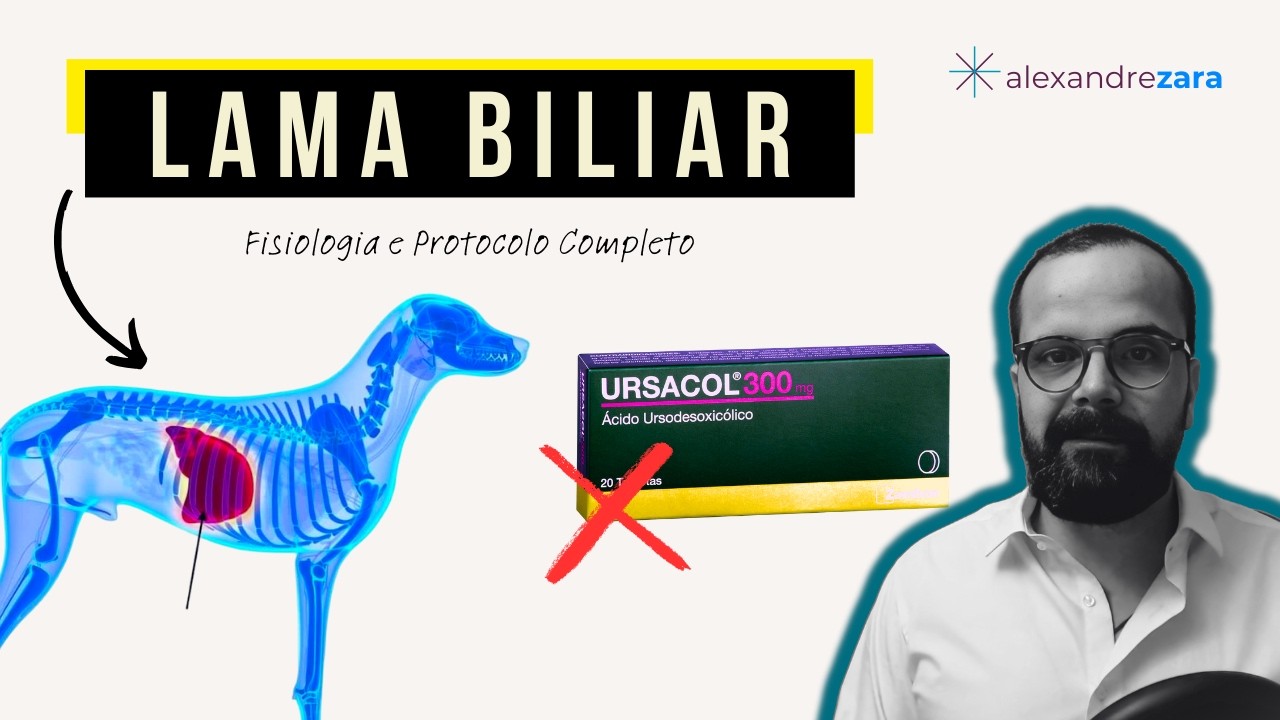 5 maneiras naturais de tratar LAMA BILIAR em cães (sem medicamento)