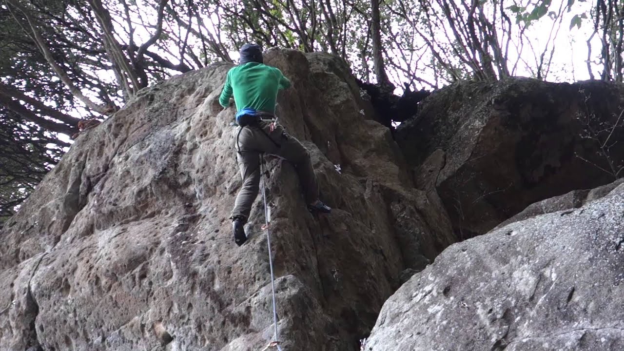 城山チューブロック ドロンパ12a RP