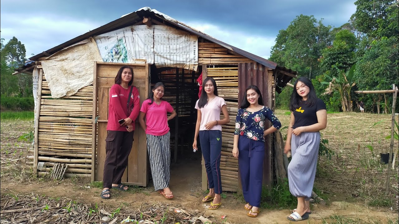 Gadis Dayak || Aktivitas sehari hari Gadis Desa Suku Dayak di Pondok Tepian Sungai