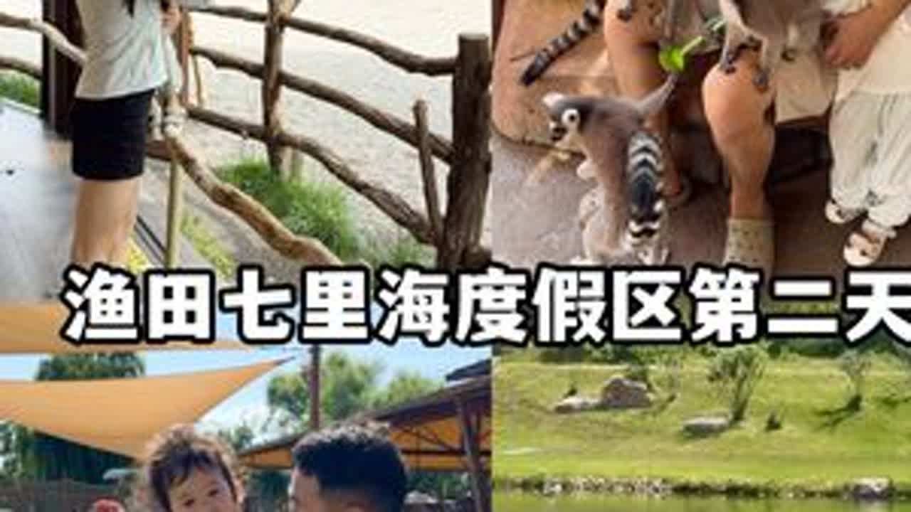 一家三口在渔田七里海度假区的第二天 一起喂动物看演出好快乐 #这么近那么美周末到河北 #渔田七里海度假区 #带娃旅行 #自驾游 #Babycare紫盖湿巾