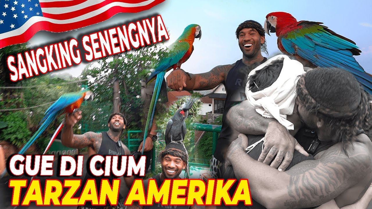 INI YANG BIKIN THE REAL TARZAN AMERIKA 🇺🇸 GIRANG BANGET