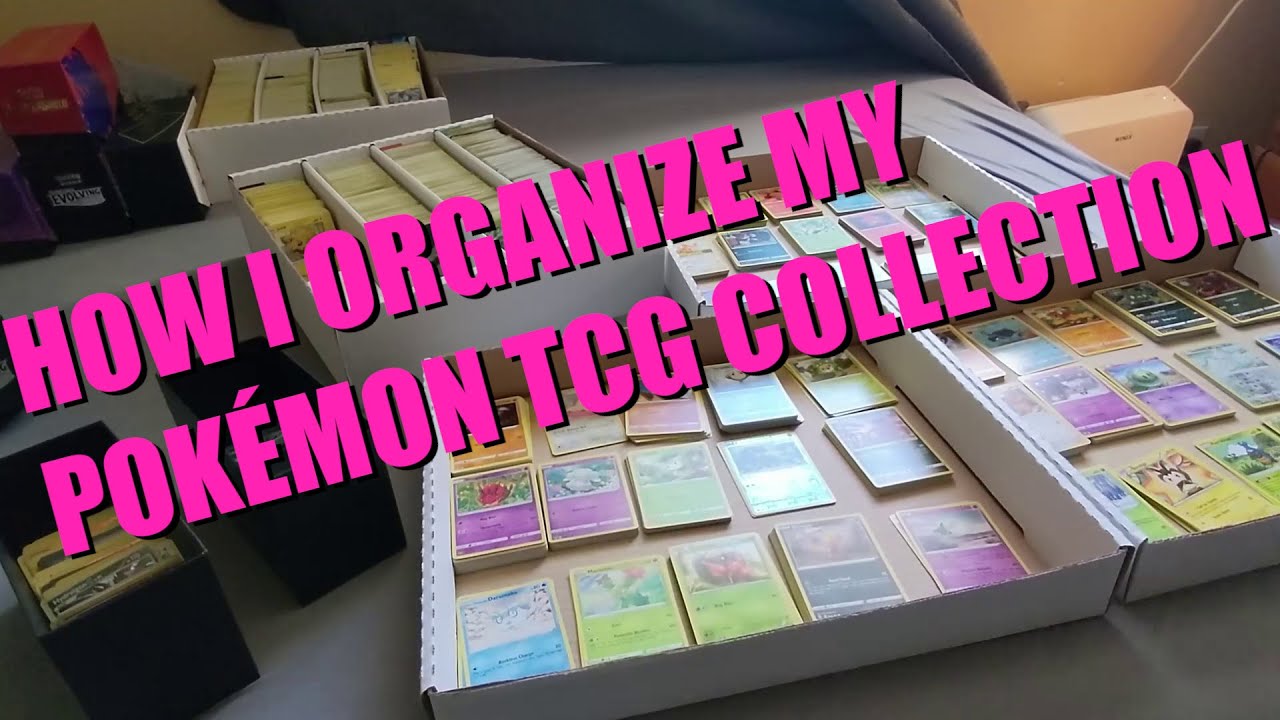 How I Organize My Bulk Pokémon Cards
