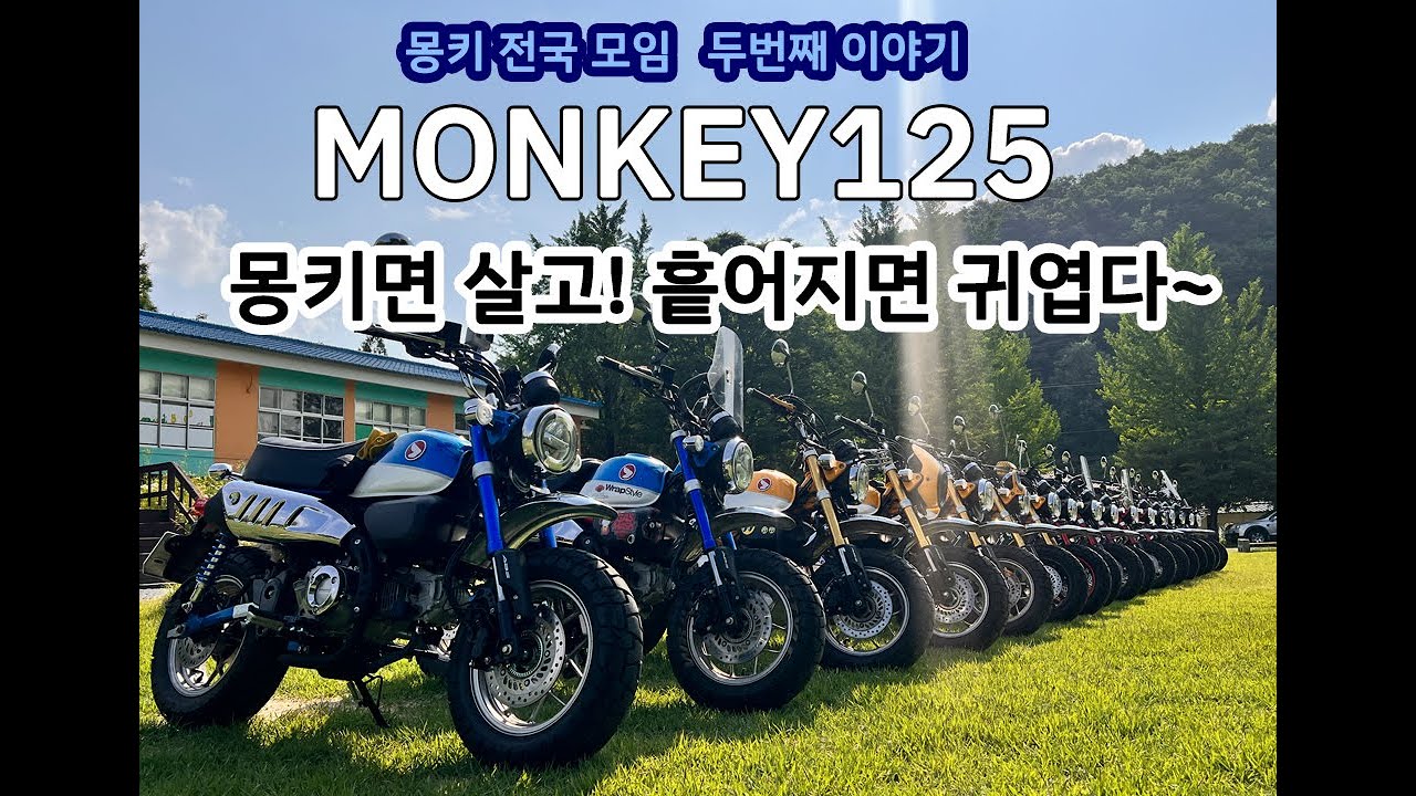 🎉함께 였을때 우린 두려울 것이 없다! / 몽키125 / 몽키 전국 모임 / 두번째 이야기 / MONKEY125 honda