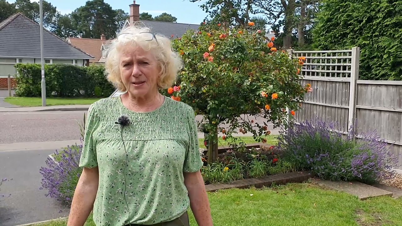 Cultivating Your Community- Britain in Bloom entry 2021