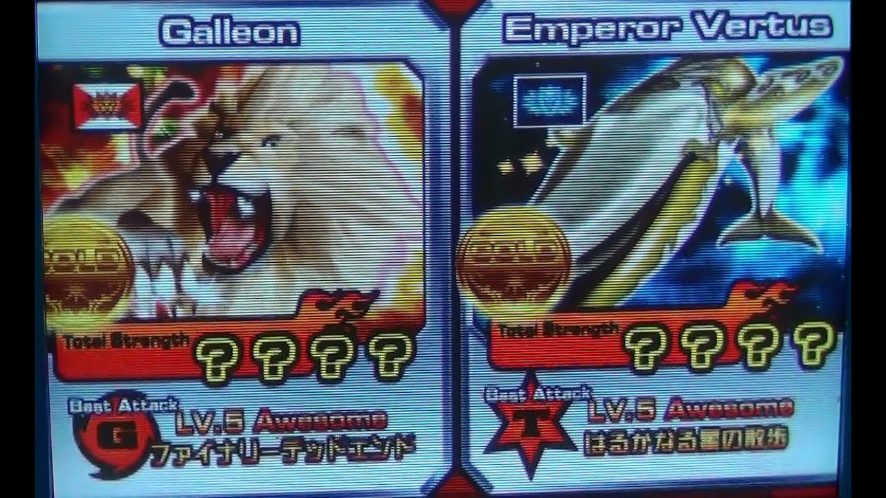 Animal Kaiser FB tournament 2013 Final Round @ PPDHKA