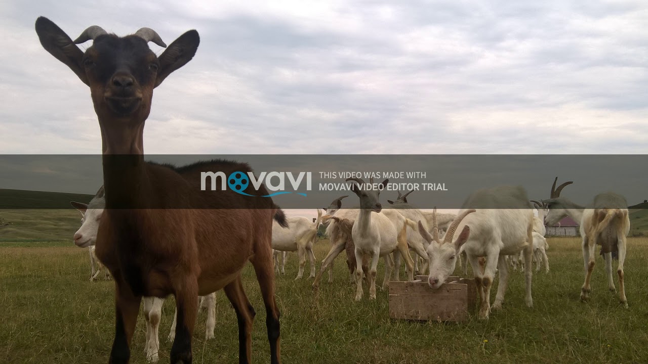 Liceul Tehnologic Agricol Mihail Kogălniceanu Miroslava  Vizită de studiu