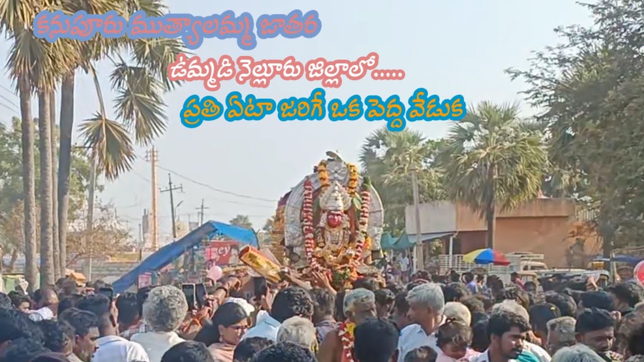 కనుపూరు ముత్యాలమ్మ జాతర ||ఉమ్మడి నెల్లూరు జిల్లాలో జరిగే పెద్ద వేడుక ||Kanupuru muthyalamma jatara