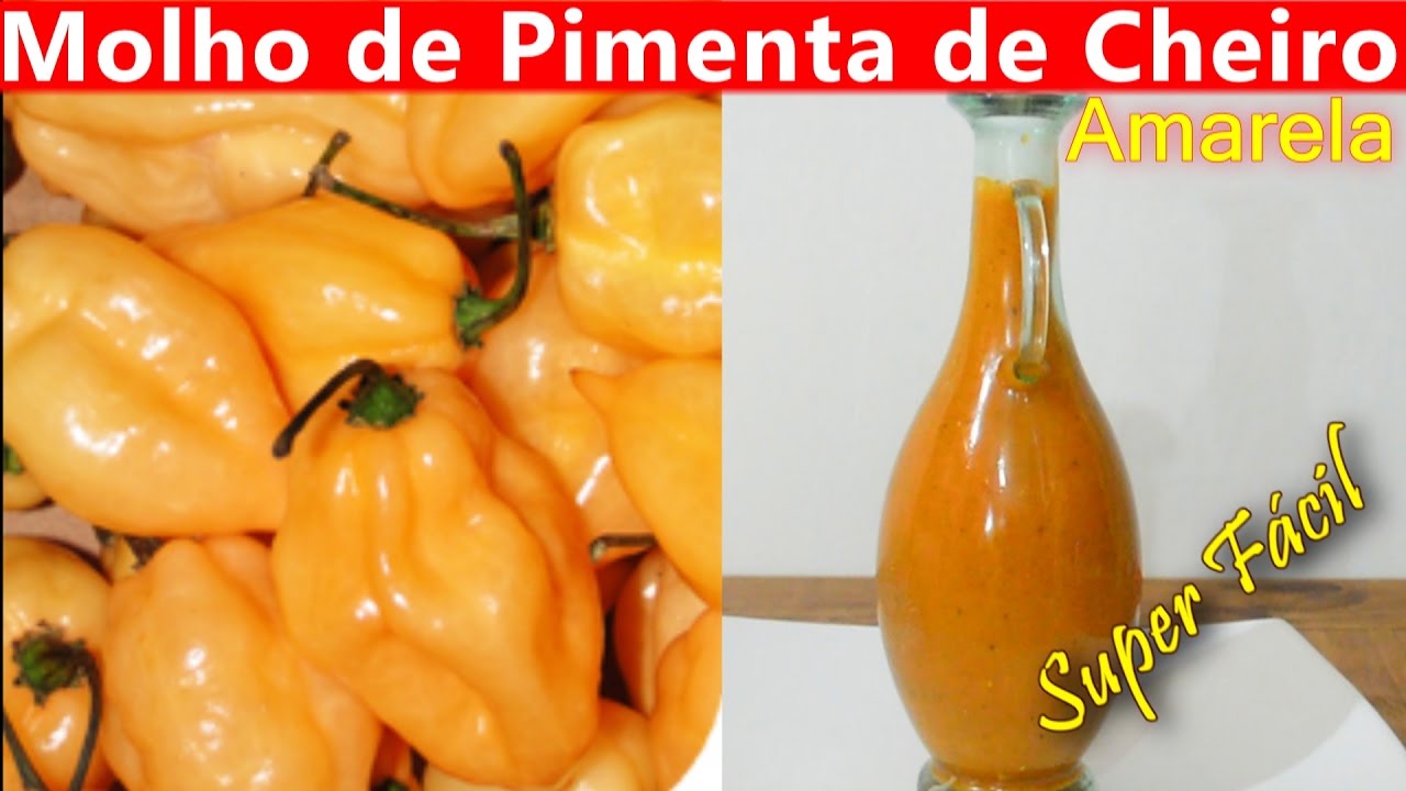 MOLHO DE PIMENTA DE CHEIRO AMARELA Receita Super Fácil COMO FAZER MOLHO DE PIMENTA