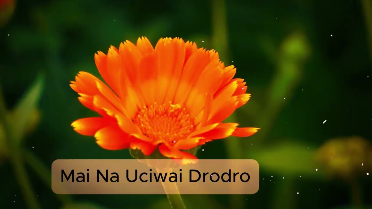 New Way International worship - Mai Na Uciwai Drodro