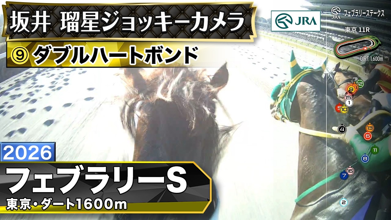 【ジョッキーカメラ】ダブルハートボンド騎乗の坂井瑠星騎手ジョッキーカメラ映像｜2026年フェブラリーステークス｜JRA公式