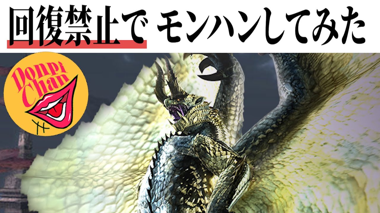 【回復禁止】ウイルスバスター！！！(自殺特攻)【MHXX】