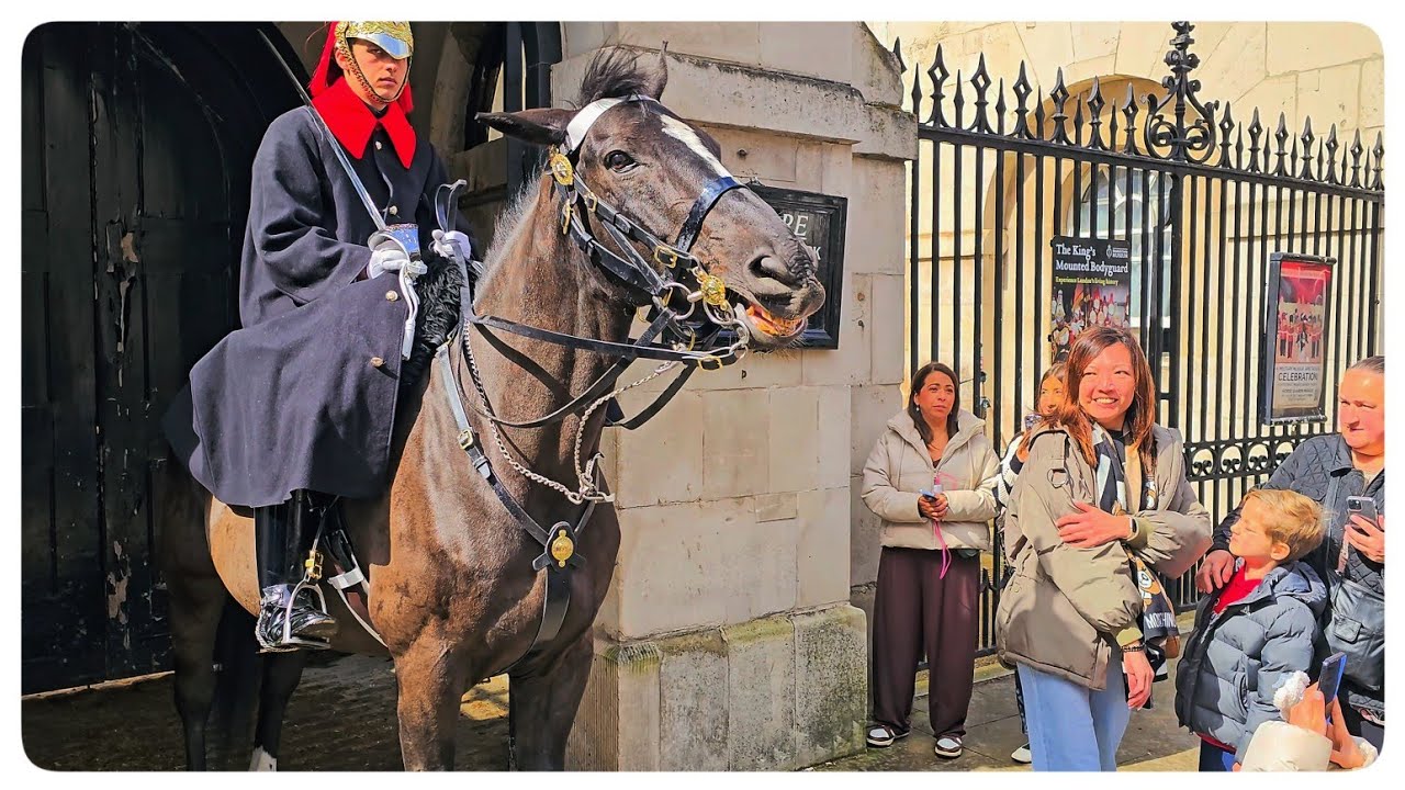 An Hour with ORMONDE and a MASSIVE SHOUT Attracts Police at Horse Guards!