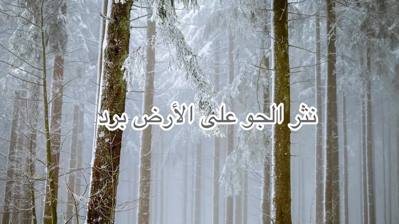#شعر ابن حمد يس. #قصيدة نثر الجو على الأرض برد، #أداء: د. #أروى عبيدالله
