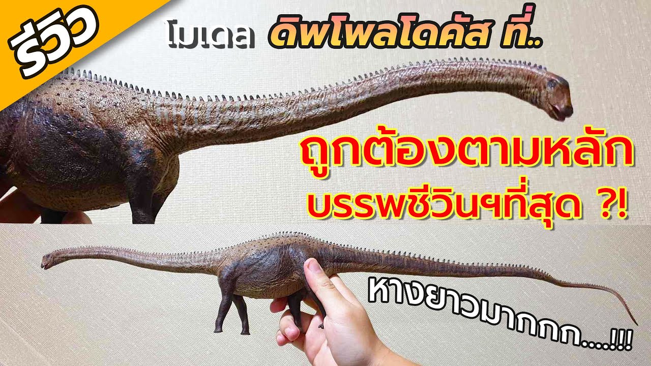 โมเดลดิพโพลโดคัสที่ถูกต้องตามหลักฯ มากที่สุด?! [ Eofauna Diplodocus #รีวิว ]