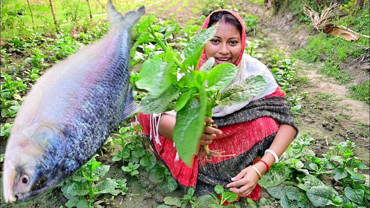 1.5 kg ওজনের ইলিশ মাছ কেটে কাঁচা ইলিশের ঝোল সাথে ইলিশ মাছের মাথা দিয়ে পুঁইশাক রান্না