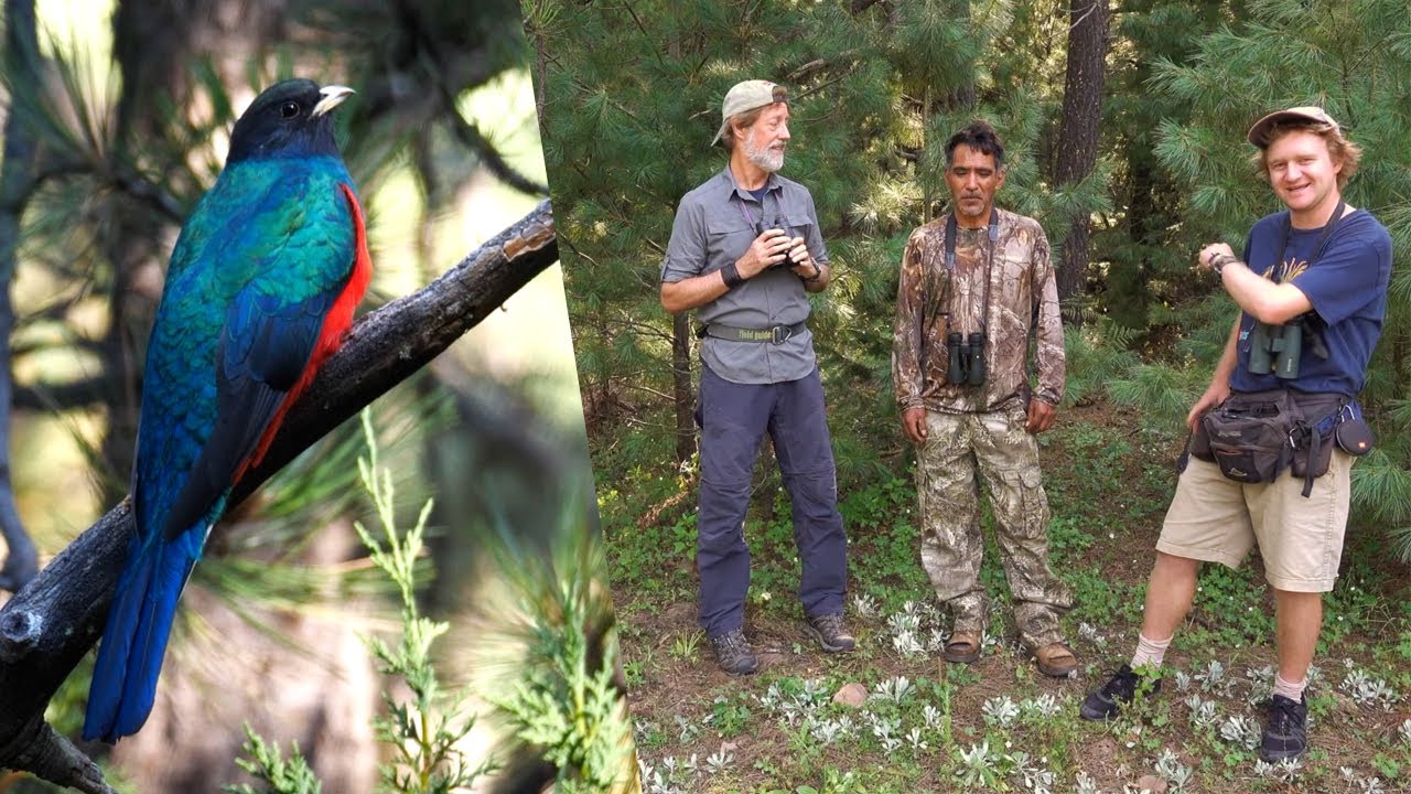 OutBirding - Eared Quetzals in Mexico (Full episode)