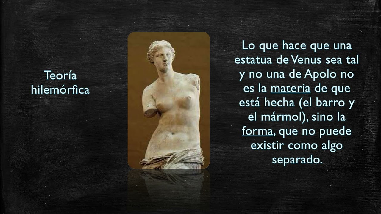 La reflexi&oacute;n filos&oacute;fica sobre la realidad.